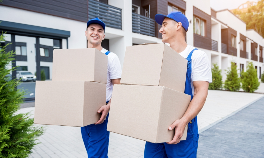 Research Moving Companies Like a Pro