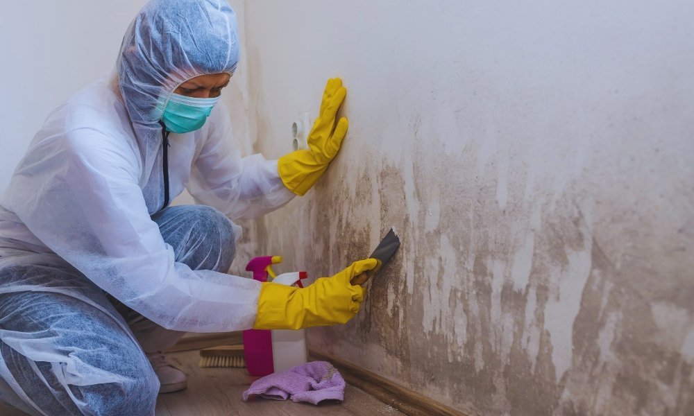 Safe Steps to Remove Mold