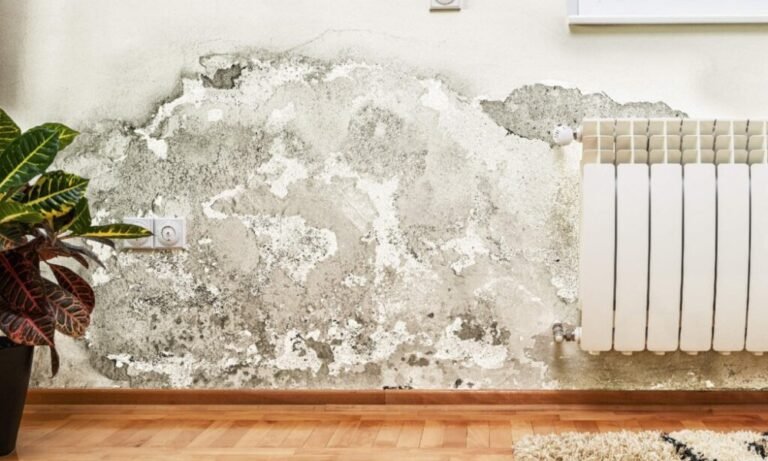 Spot Signs of Dampness in Your Walls and Floors