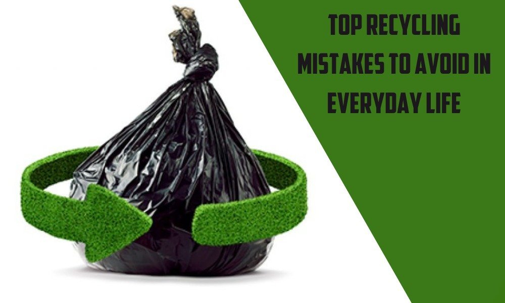 Top Recycling Mistakes to Avoid in Everyday Life
