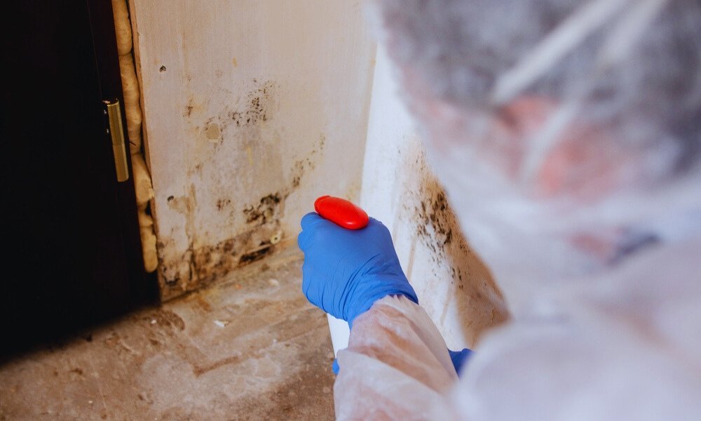 When You Need a Professional