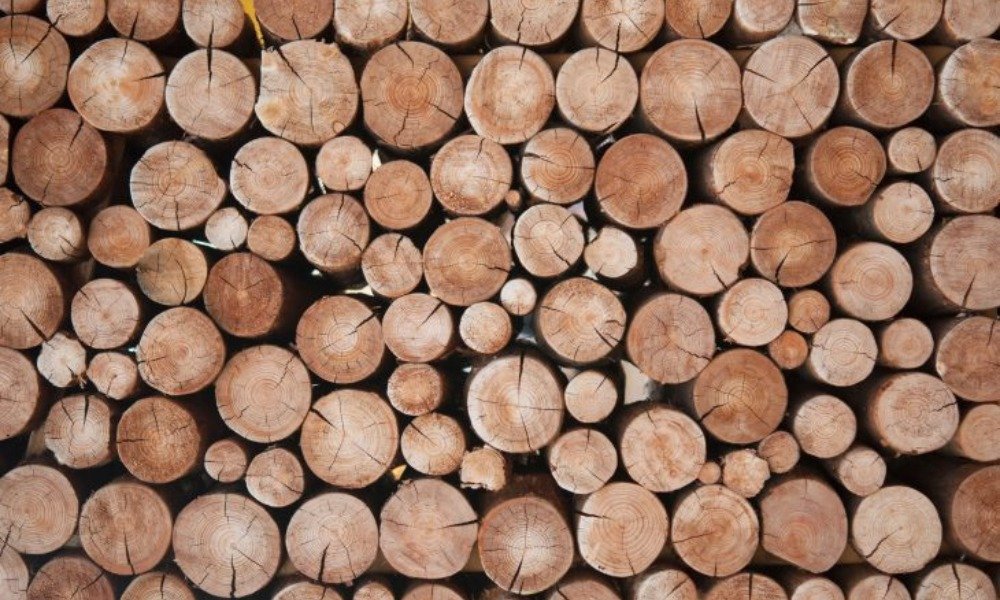 When to Choose Wood