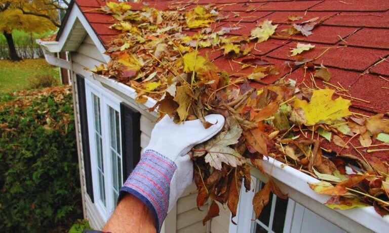 Why Gutter Maintenance Saves You Money in the Long Run
