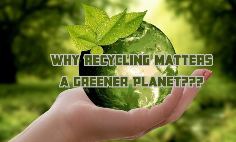Why Recycling Matters Simple Steps for a Greener Planet