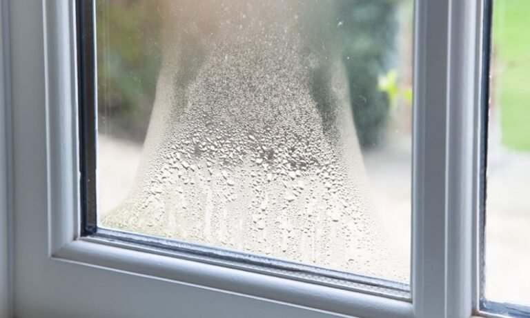 Window
