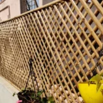 Bamboo Fencing Options