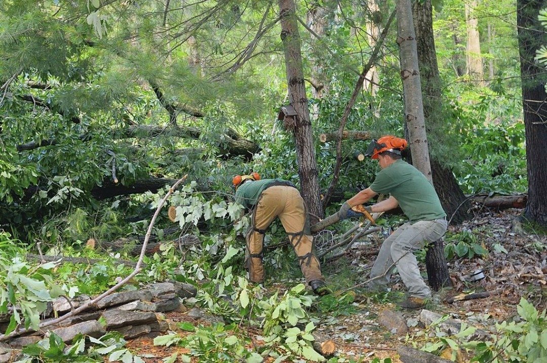 Timely Removal Matters