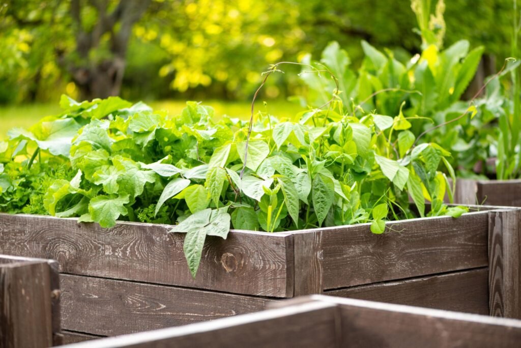 DIY Raised Garden Bed Transformation