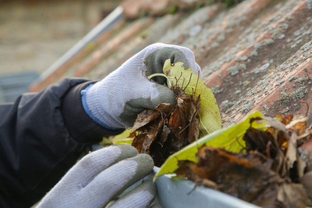 Fall Home Preparation