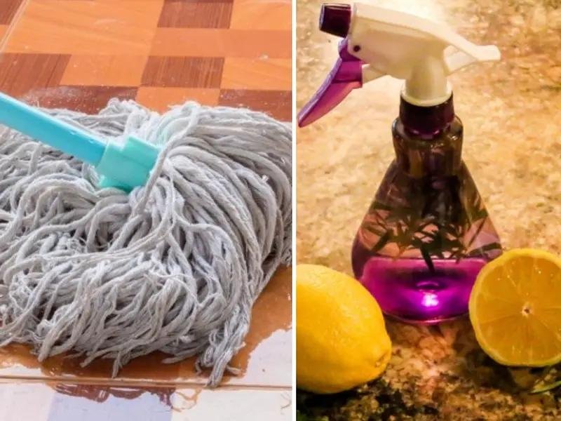 Vinegar Cleaning Solution