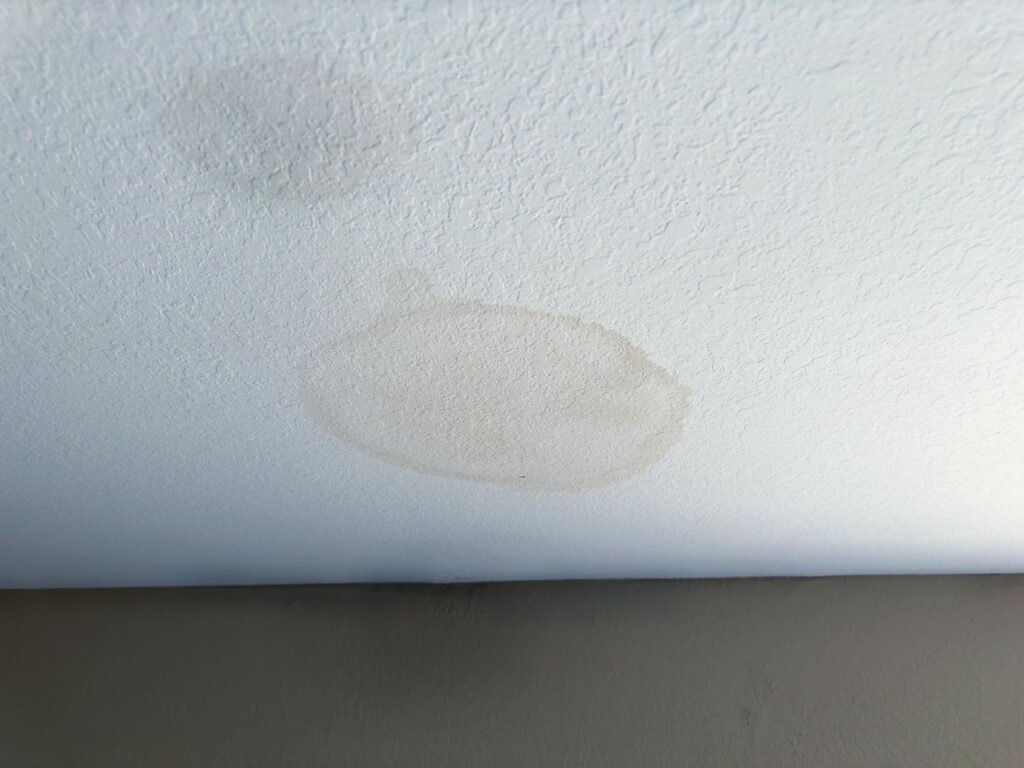 Water Damage & Ceiling Leak