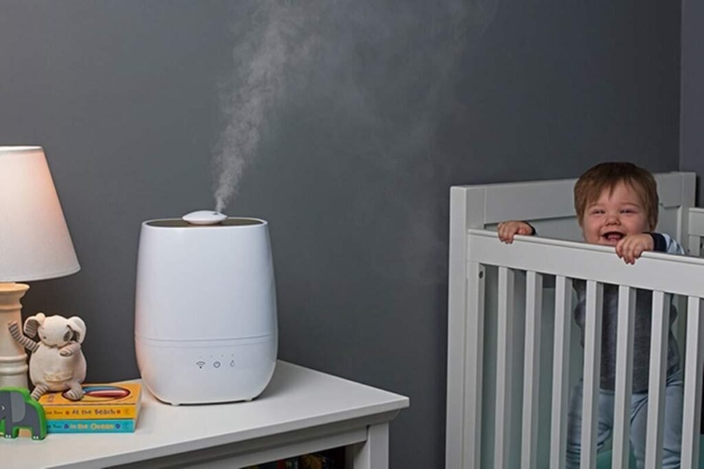 best humidifier setup