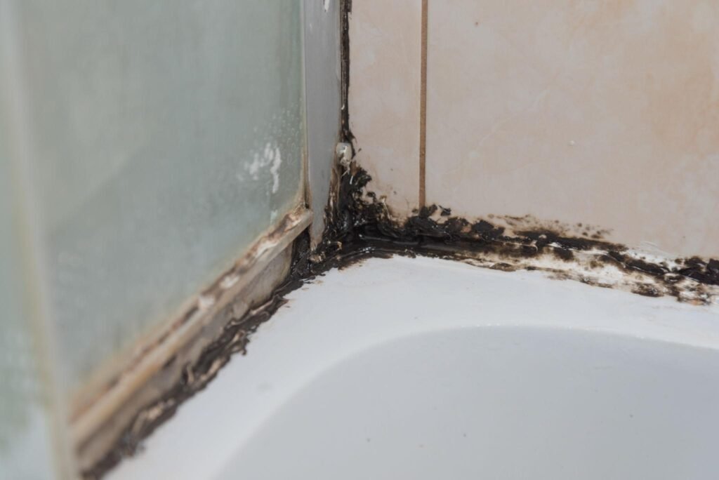 mouldy chulk before replacement