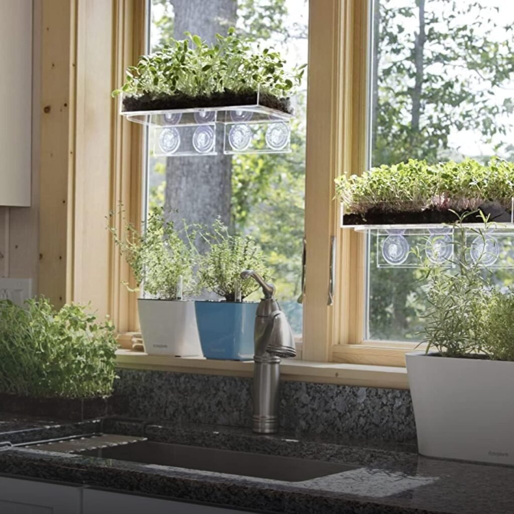 Window Shelf for Plants